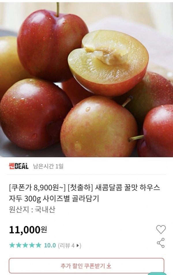 썸네일