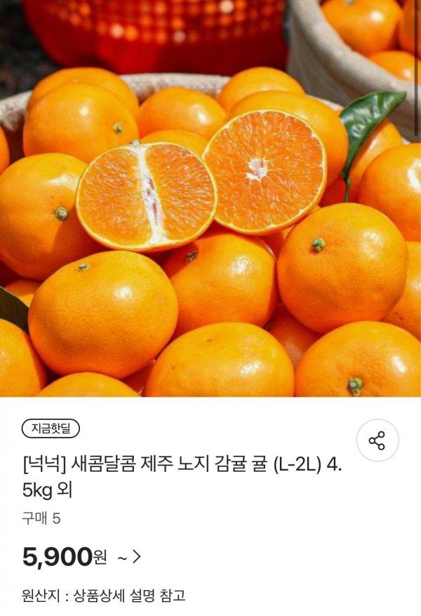 썸네일